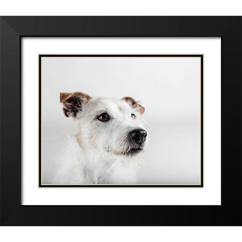 Spike Zuck Black Modern Wood Framed Art Print with Double Matting by Sabo, Susan