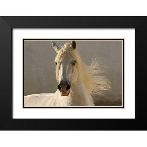 Elegance Black Modern Wood Framed Art Print with Double Matting by Stromberg, Tony