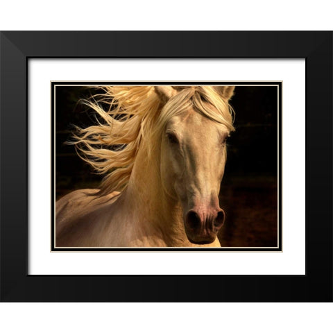 Kieto II Black Modern Wood Framed Art Print with Double Matting by Stromberg, Tony