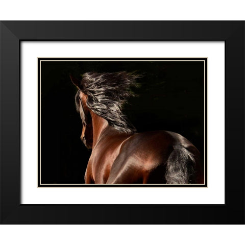 Reflection Black Modern Wood Framed Art Print with Double Matting by Stromberg, Tony