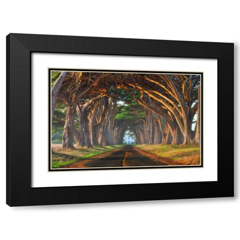 Tunnel of Light Black Modern Wood Framed Art Print with Double Matting by Sie, Lee