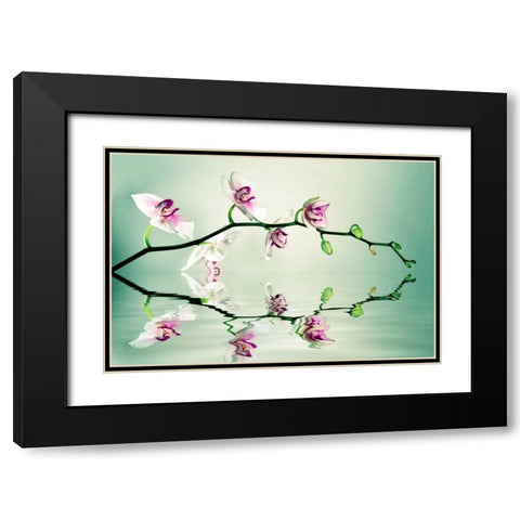 Zen Black Modern Wood Framed Art Print with Double Matting by Sie, Lee