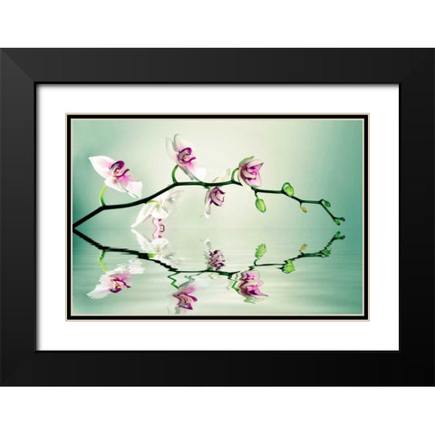 Zen Black Modern Wood Framed Art Print with Double Matting by Sie, Lee