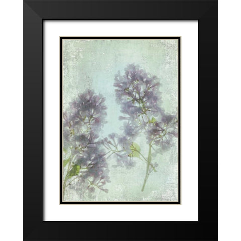 Lilac Black Modern Wood Framed Art Print with Double Matting by Stalus, Judy
