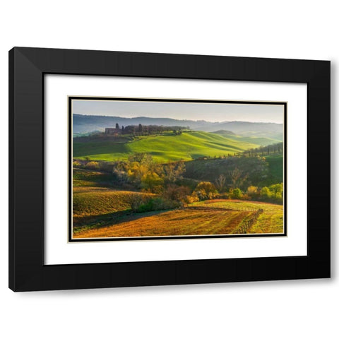 Light Invasion Black Modern Wood Framed Art Print with Double Matting by Schneidersmann, Anne