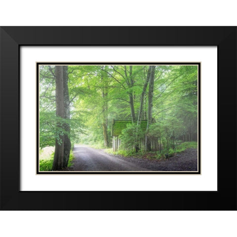 Frenzy Green Black Modern Wood Framed Art Print with Double Matting by Schneidersmann, Anne