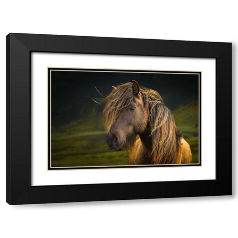 Born To Be Wild Black Modern Wood Framed Art Print with Double Matting by Schneidersmann, Anne
