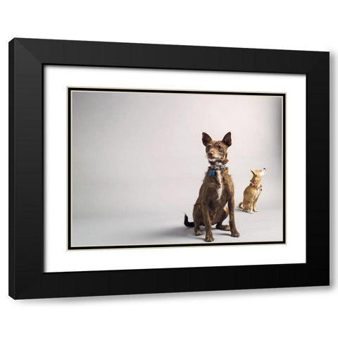 Nope Black Modern Wood Framed Art Print with Double Matting by Sabo, Susan