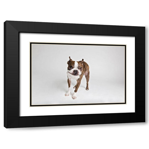 Kevin Black Modern Wood Framed Art Print with Double Matting by Sabo, Susan