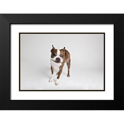 Kevin Black Modern Wood Framed Art Print with Double Matting by Sabo, Susan