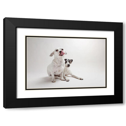 Mouse and Jack Black Modern Wood Framed Art Print with Double Matting by Sabo, Susan