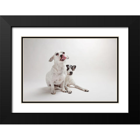 Mouse and Jack Black Modern Wood Framed Art Print with Double Matting by Sabo, Susan