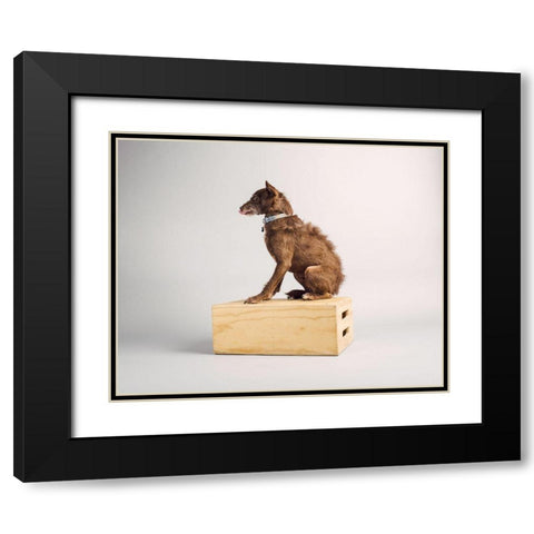 Side Eye Black Modern Wood Framed Art Print with Double Matting by Sabo, Susan