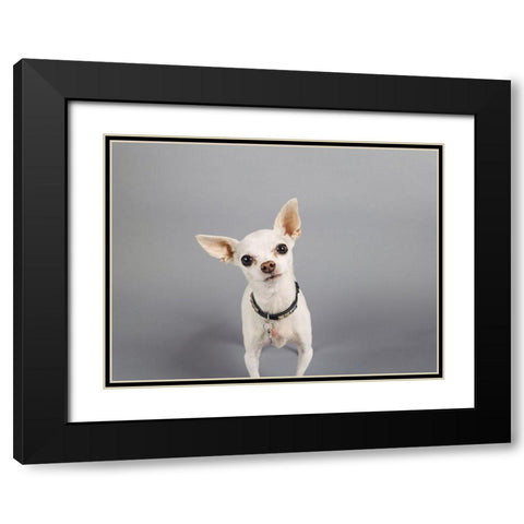 Psssstâ€¦ Black Modern Wood Framed Art Print with Double Matting by Sabo, Susan