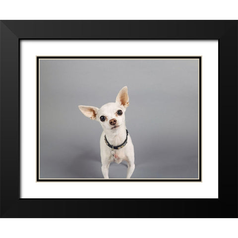 Psssstâ€¦ Black Modern Wood Framed Art Print with Double Matting by Sabo, Susan