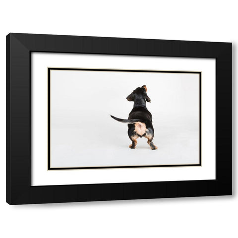 The Butt Black Modern Wood Framed Art Print with Double Matting by Sabo, Susan