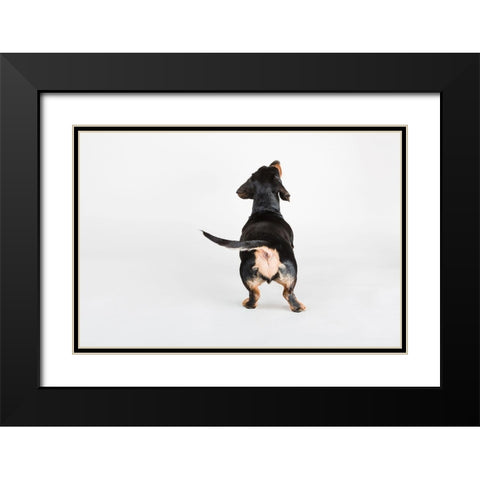 The Butt Black Modern Wood Framed Art Print with Double Matting by Sabo, Susan