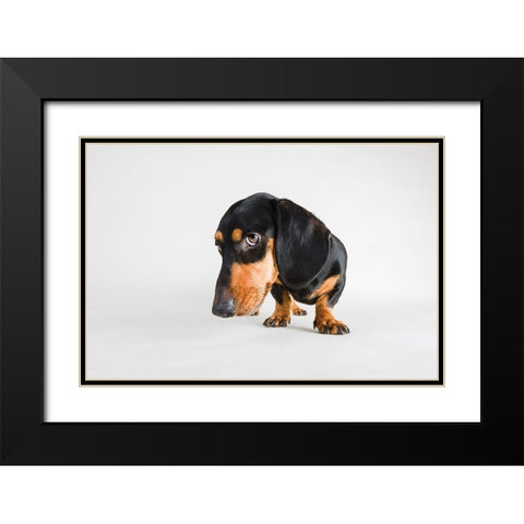 Who, Me? Black Modern Wood Framed Art Print with Double Matting by Sabo, Susan