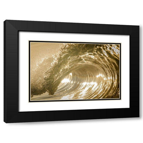 Auricomus Black Modern Wood Framed Art Print with Double Matting by Sieczkiewicz, David A.