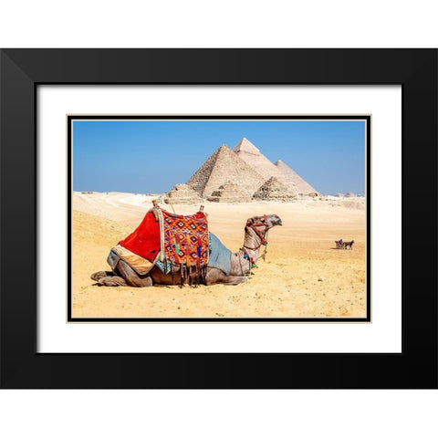 Camel Resting by the Pyramids, Giza, Egypt Black Modern Wood Framed Art Print with Double Matting by Silver, Richard