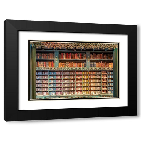 Mundo Fantastico Da Sardhina, Lisbon, Portugal Black Modern Wood Framed Art Print with Double Matting by Silver, Richard