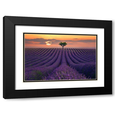 For the Love of Lavender Black Modern Wood Framed Art Print with Double Matting by Sie, Lee