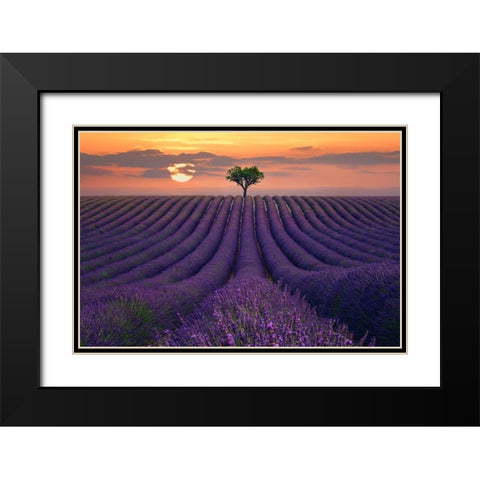 For the Love of Lavender Black Modern Wood Framed Art Print with Double Matting by Sie, Lee