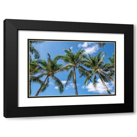 Palawan Palm Trees I Black Modern Wood Framed Art Print with Double Matting by Silver, Richard