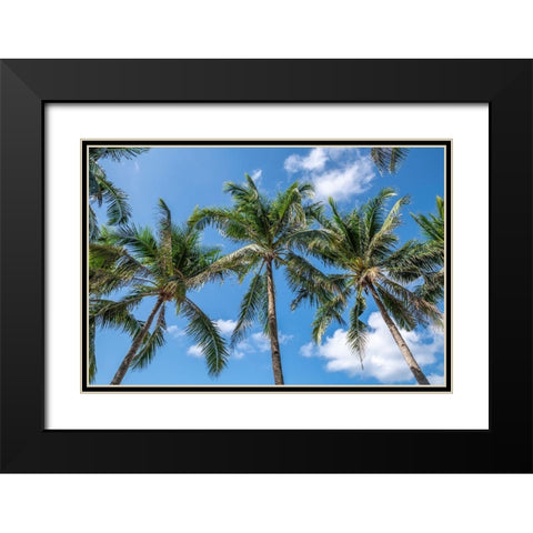 Palawan Palm Trees I Black Modern Wood Framed Art Print with Double Matting by Silver, Richard