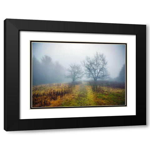 Magic Meadow Apples Black Modern Wood Framed Art Print with Double Matting by Sinclair, Kelly