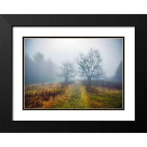 Magic Meadow Apples Black Modern Wood Framed Art Print with Double Matting by Sinclair, Kelly