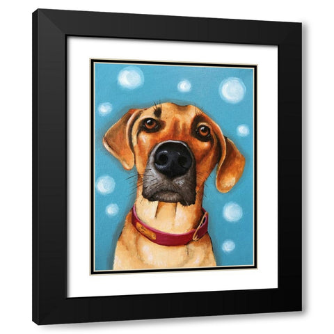 Simba Black Modern Wood Framed Art Print with Double Matting by Stewart, Lucia