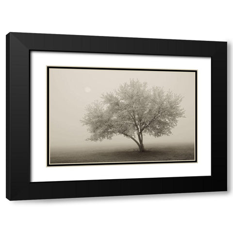Forever Spring Black Modern Wood Framed Art Print with Double Matting by Svibilsky, Igor