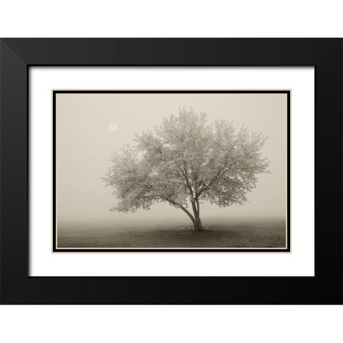 Forever Spring Black Modern Wood Framed Art Print with Double Matting by Svibilsky, Igor