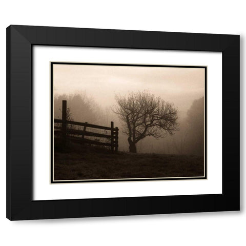 Mountain Meadow Farm Black Modern Wood Framed Art Print with Double Matting by Triebert, Christine