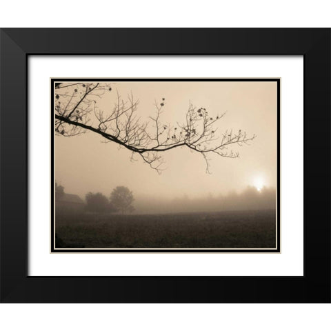 Parish Hill Sunrise Black Modern Wood Framed Art Print with Double Matting by Triebert, Christine