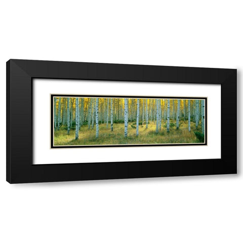 Aspens Ashley Black Modern Wood Framed Art Print with Double Matting by Thomas, Alain
