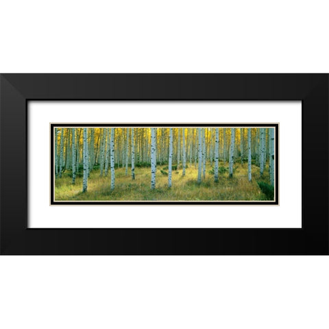 Aspens Ashley Black Modern Wood Framed Art Print with Double Matting by Thomas, Alain