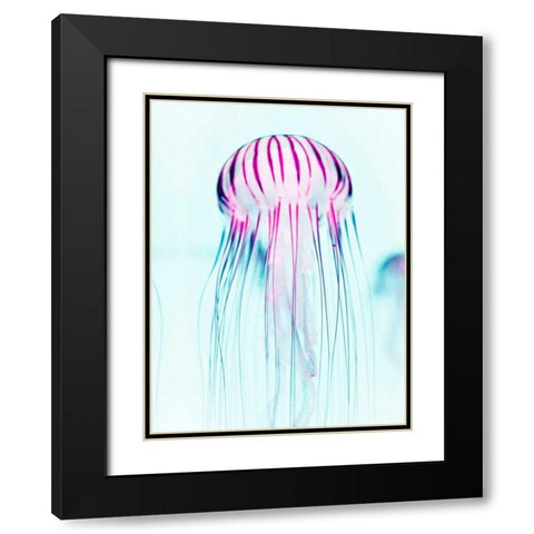 Jelly Fish Black Modern Wood Framed Art Print with Double Matting by Tai Prints
