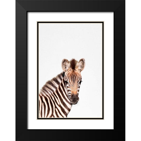 Baby Zebra Black Modern Wood Framed Art Print with Double Matting by Tai Prints