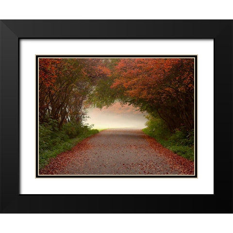 Arc de Triomphe Black Modern Wood Framed Art Print with Double Matting by Van de Goor, Lars