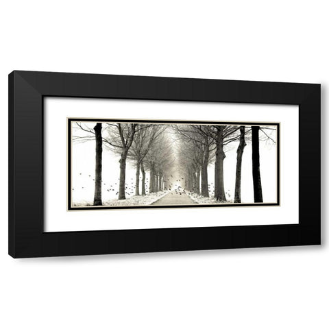 Birds Black Modern Wood Framed Art Print with Double Matting by Van de Goor, Lars
