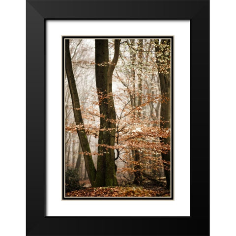 Bronze Tree Black Modern Wood Framed Art Print with Double Matting by Van de Goor, Lars