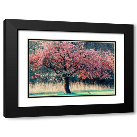 Me and My Tree Black Modern Wood Framed Art Print with Double Matting by Van de Goor, Lars