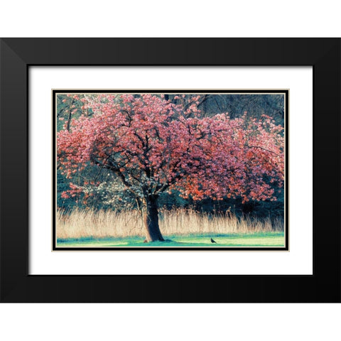 Me and My Tree Black Modern Wood Framed Art Print with Double Matting by Van de Goor, Lars