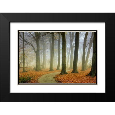 Misty Twisty Black Modern Wood Framed Art Print with Double Matting by Van de Goor, Lars