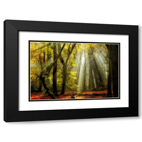 Yellow Leaves Rays Black Modern Wood Framed Art Print with Double Matting by Van de Goor, Lars