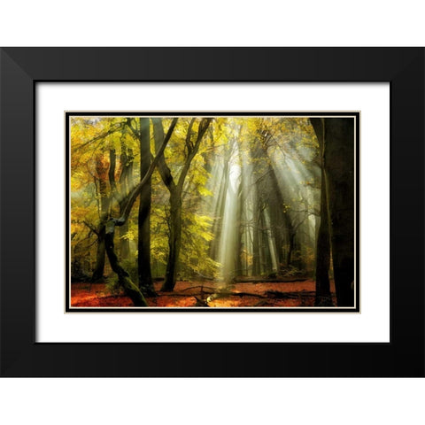 Yellow Leaves Rays Black Modern Wood Framed Art Print with Double Matting by Van de Goor, Lars