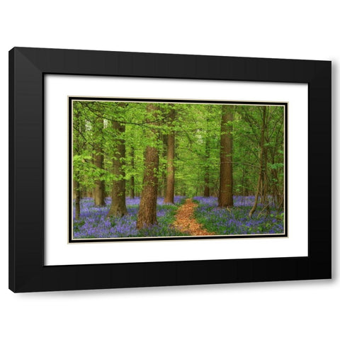 Haller Black Modern Wood Framed Art Print with Double Matting by Van de Goor, Lars