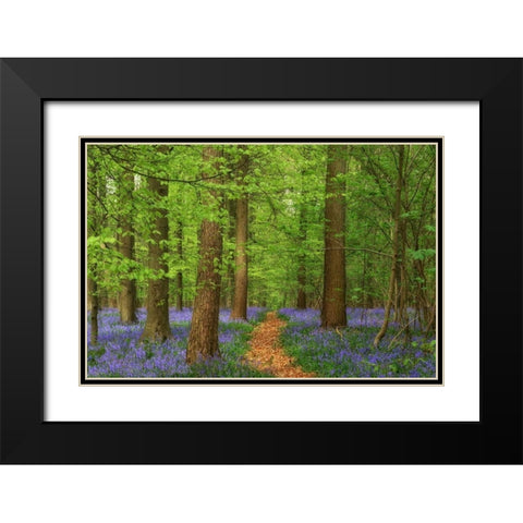 Haller Black Modern Wood Framed Art Print with Double Matting by Van de Goor, Lars